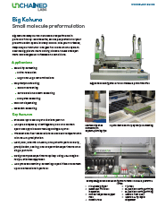 Big Kahuna Small Molecule Preformulation Workflow Guide