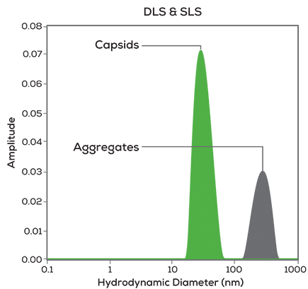 DLS_SLS_UV_Vis-graphs-1