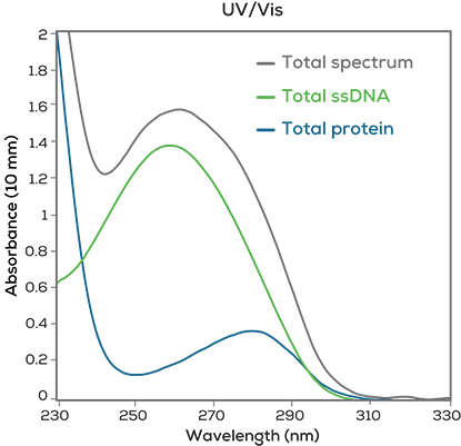 DLS_SLS_UV_Vis-graphs-2