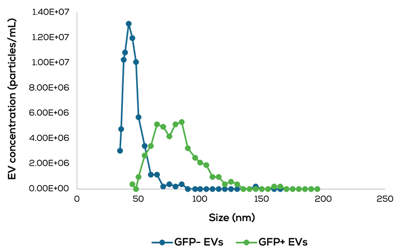 Exosomes & EVs_Size even the smallest_web