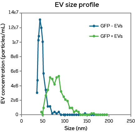 graph-EV-count_v2