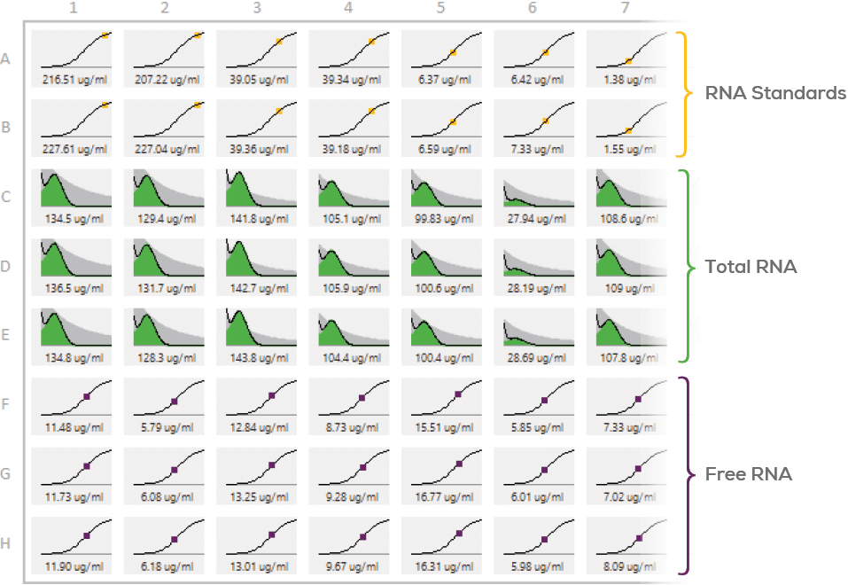 Stunner Brochure_Page 5 Image