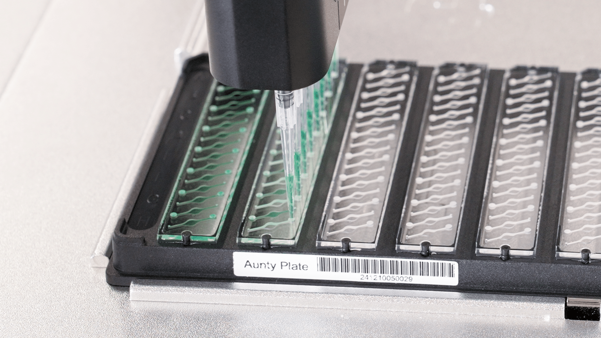 Aunty plate loading OT