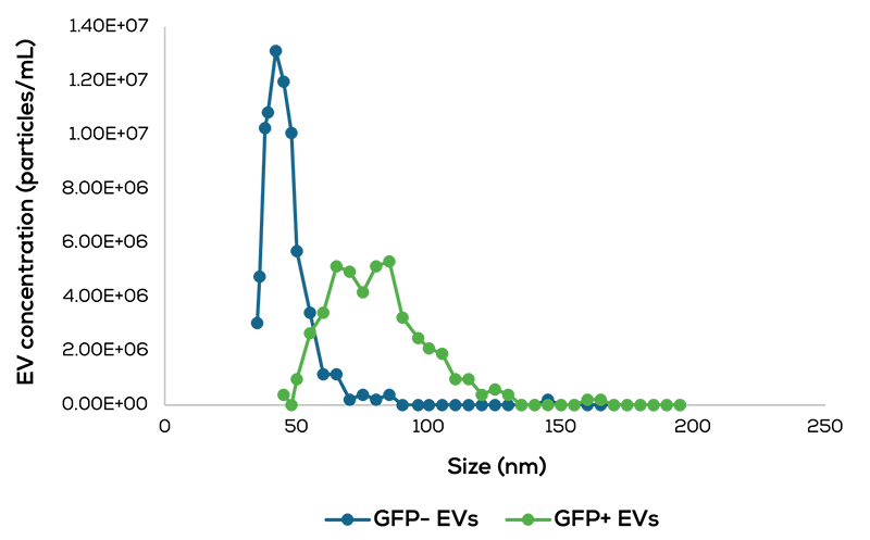 Exosomes & EVs_Size even the smallest_web