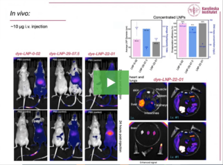 Addressing the challenge of screening DNA-LNP formulations for targeting the brain